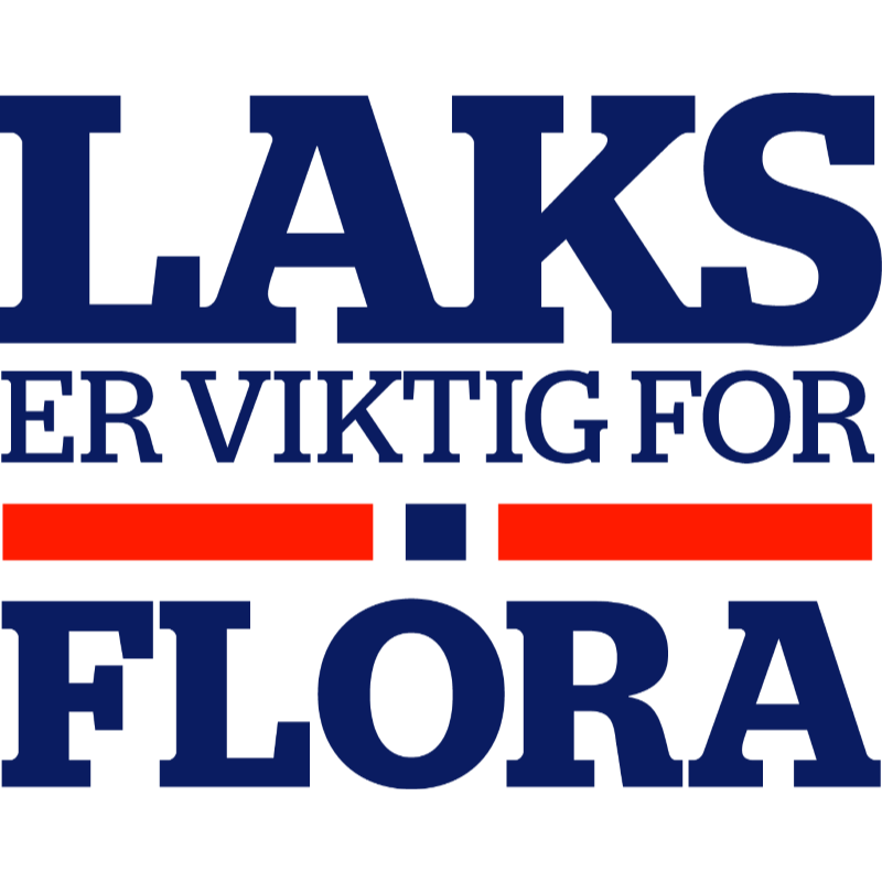 Laks i Flora - Laks i Kinn