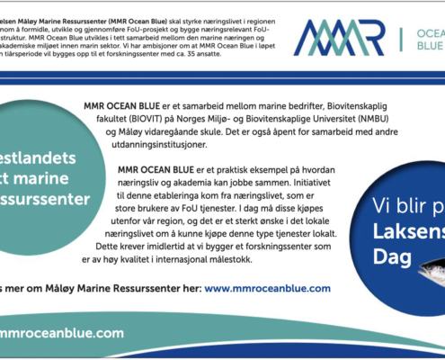 MMR Ocean Blue - laksiflora.no / laksikinn.no
